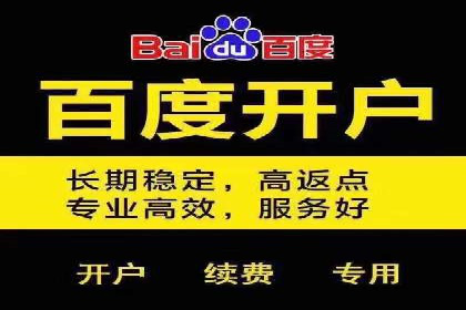 成功SEM服务案例：优化广告投放